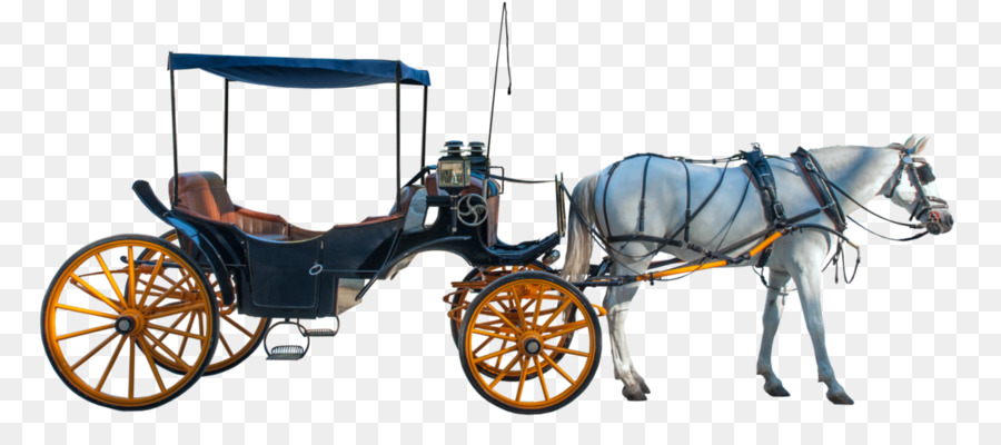 Horse And Buggy Carriage Horse.