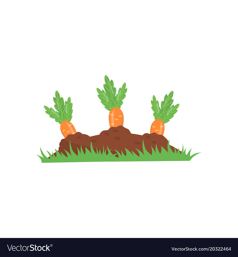 Carrot Garden Clipart 20 Free Cliparts Download Images On Clipground 2024