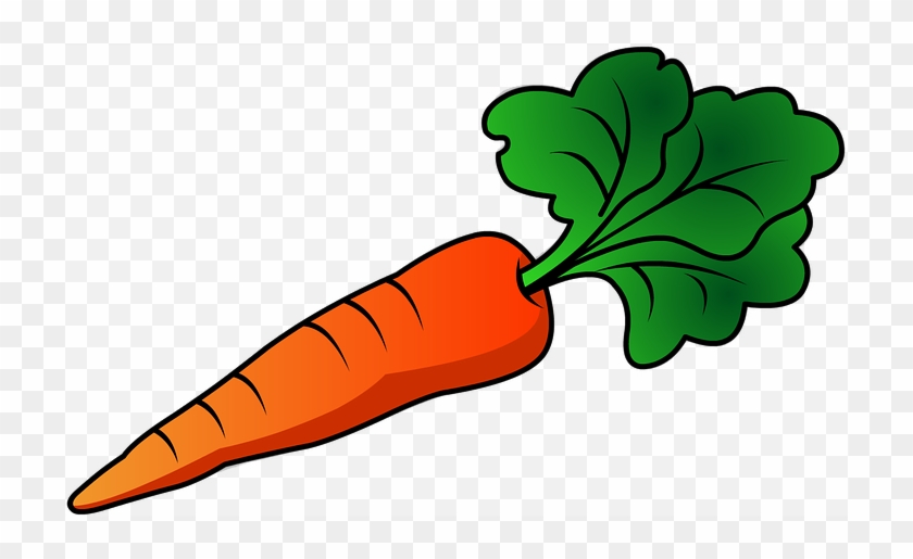 Graphic Free Stock Carrot Clipart.