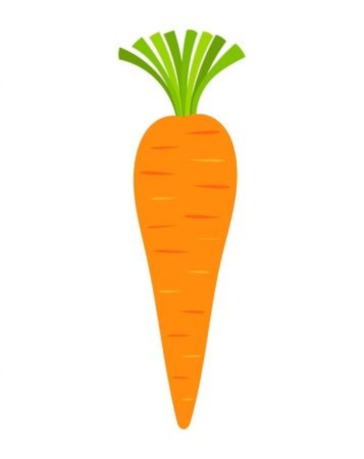 carrot-nose-clipart-20-free-cliparts-download-images-on-clipground-2023
