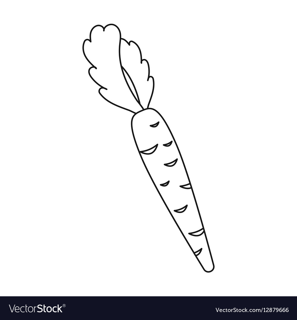 Carrot icon outline Singe vegetables icon from.