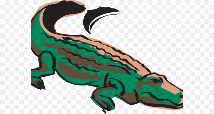 Alligator Cartoon.