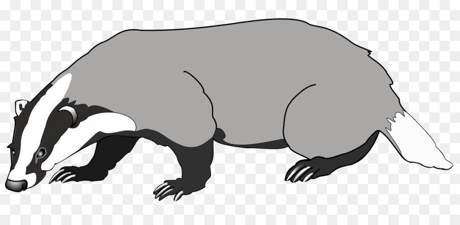 Bear Cartoon clipart.