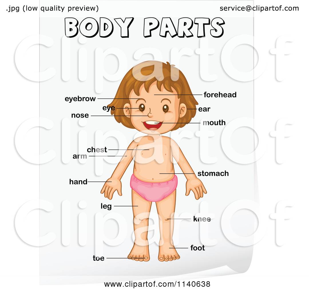 Cartoon Of A Girl With Labeled Body Parts 3.