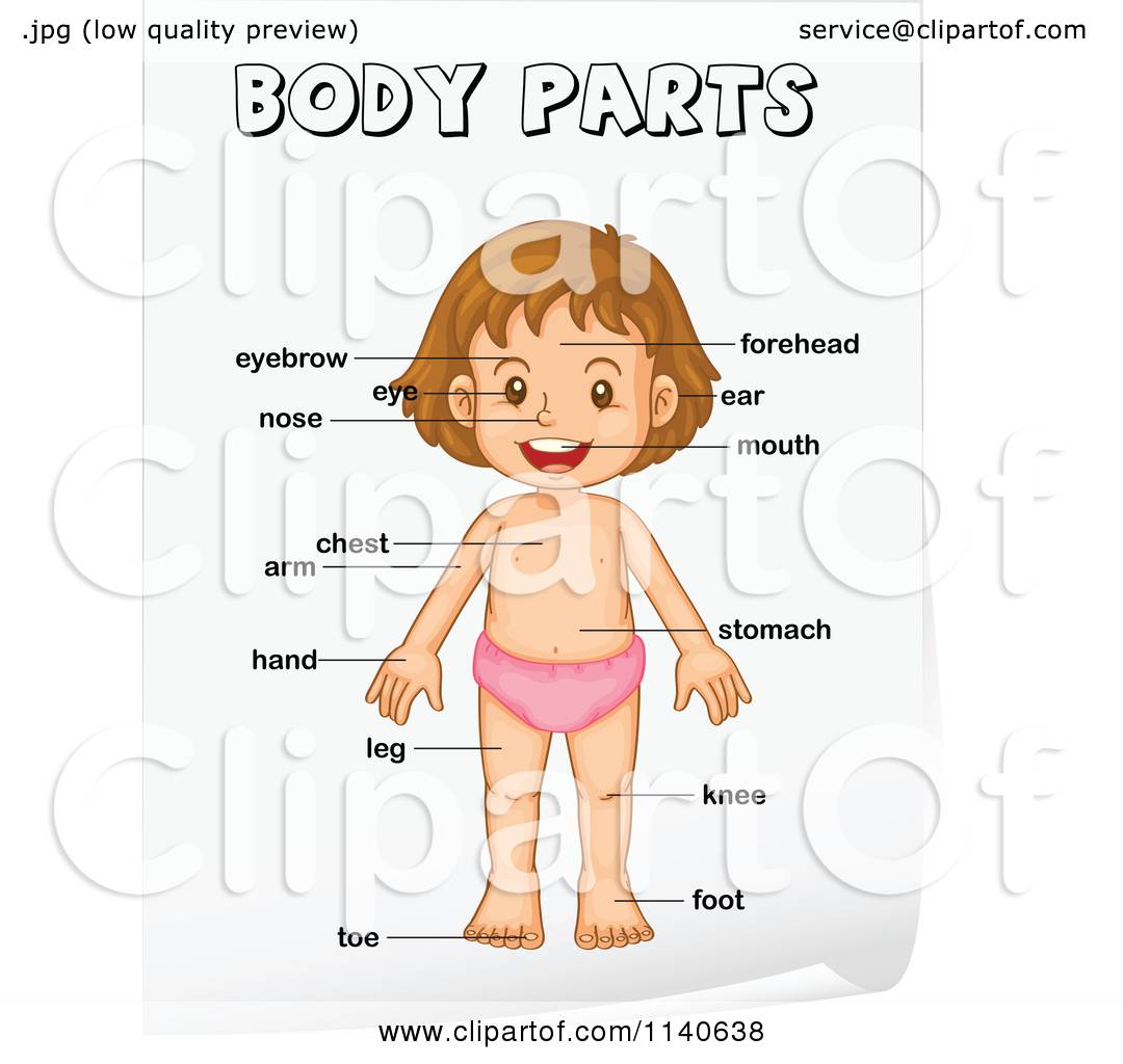 cartoon body parts clipart 20 free Cliparts | Download images on