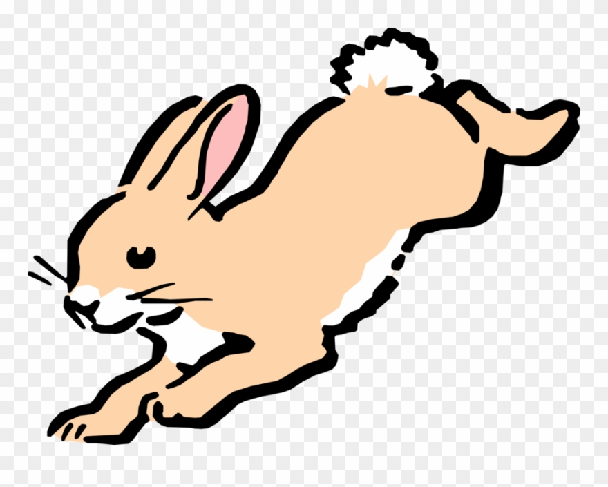 Cartoon Bunny Hops Image.