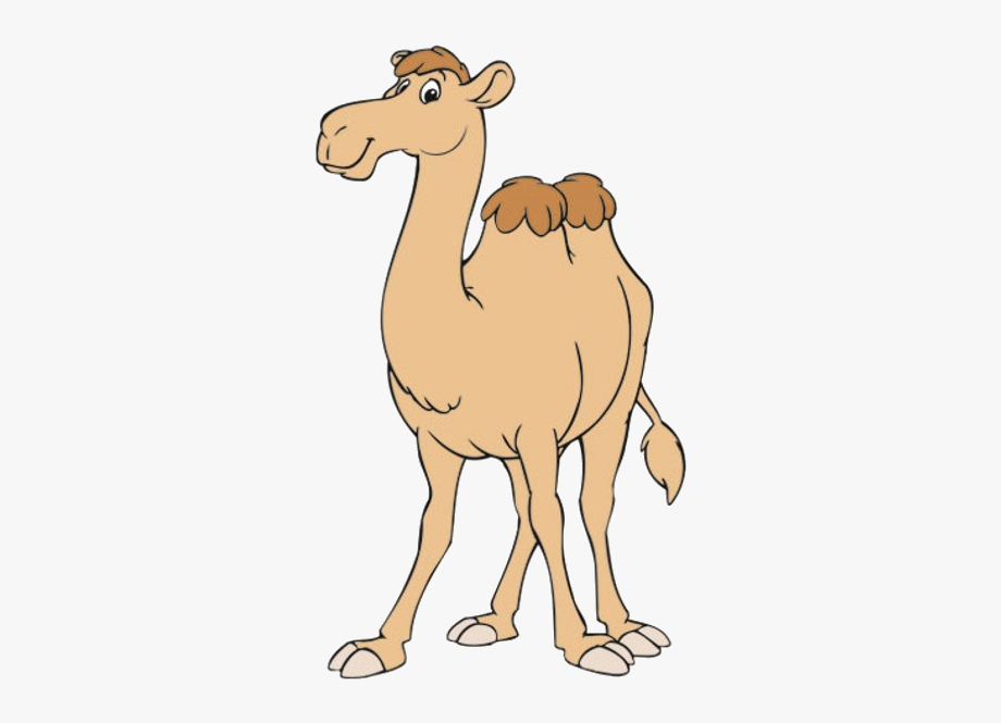 Funny Camel Clipart Pictures.