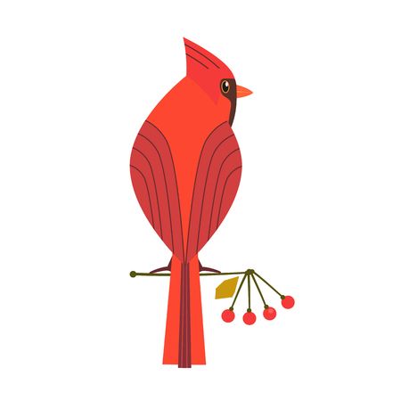 1,904 Cardinal Bird Cliparts, Stock Vector And Royalty Free Cardinal.