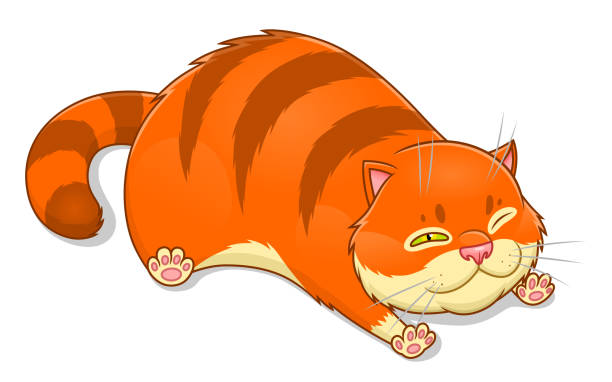 Best Fat Cat Illustrations, Royalty.