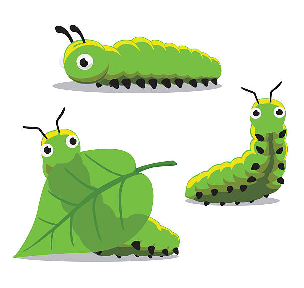 cartoon caterpillars clip art 20 free Cliparts | Download images on