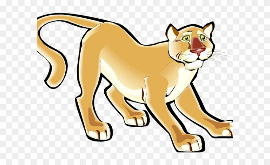 cartoon cougar clip art 20 free Cliparts | Download images on