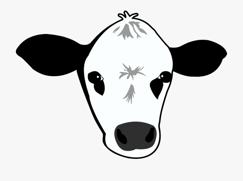 Moo Png.