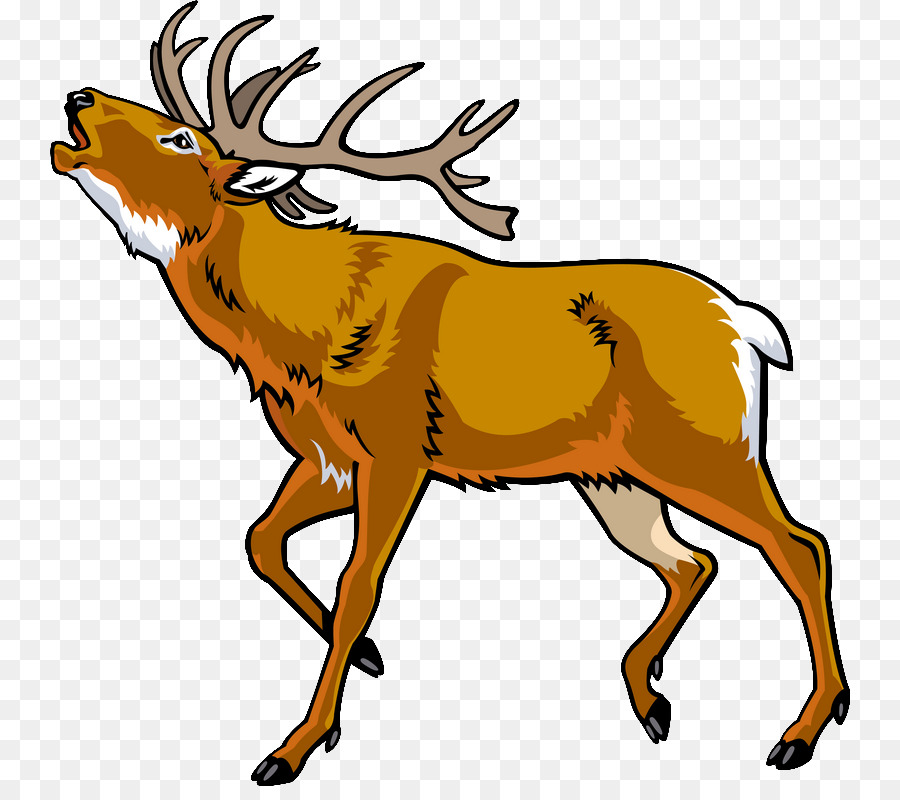 cartoon elk clipart 10 free Cliparts | Download images on Clipground 2022