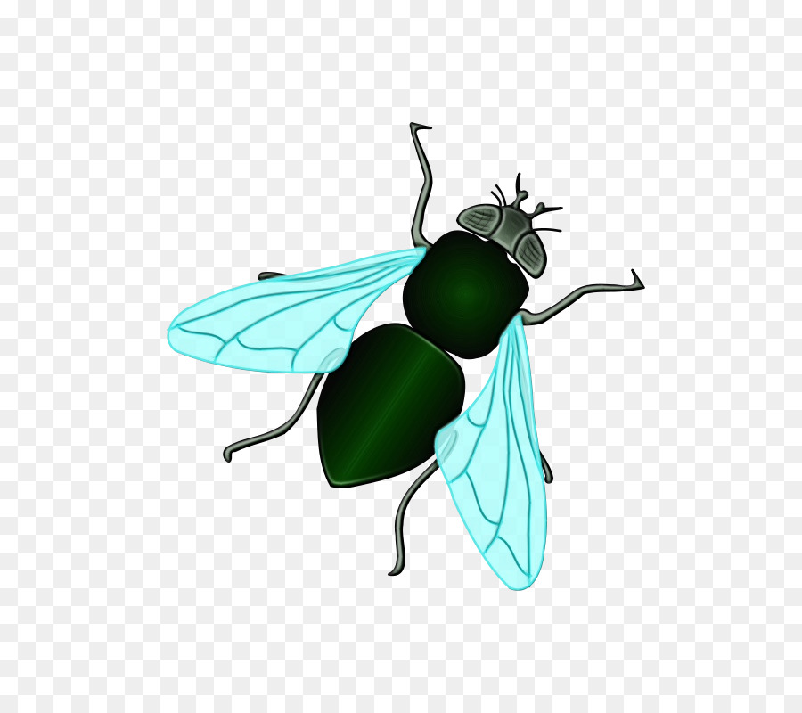 cartoon flies clipart 10 free Cliparts | Download images on Clipground 2021