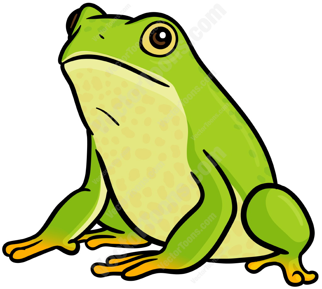 Frog Cartoon Picture.