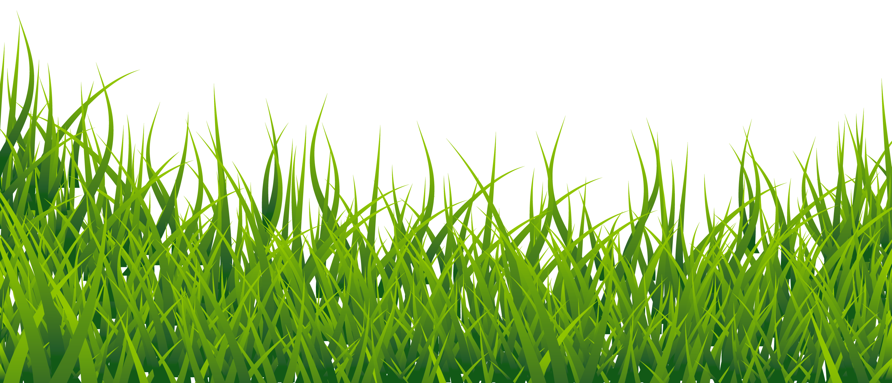 cartoon grass png 20 free Cliparts | Download images on Clipground 2021