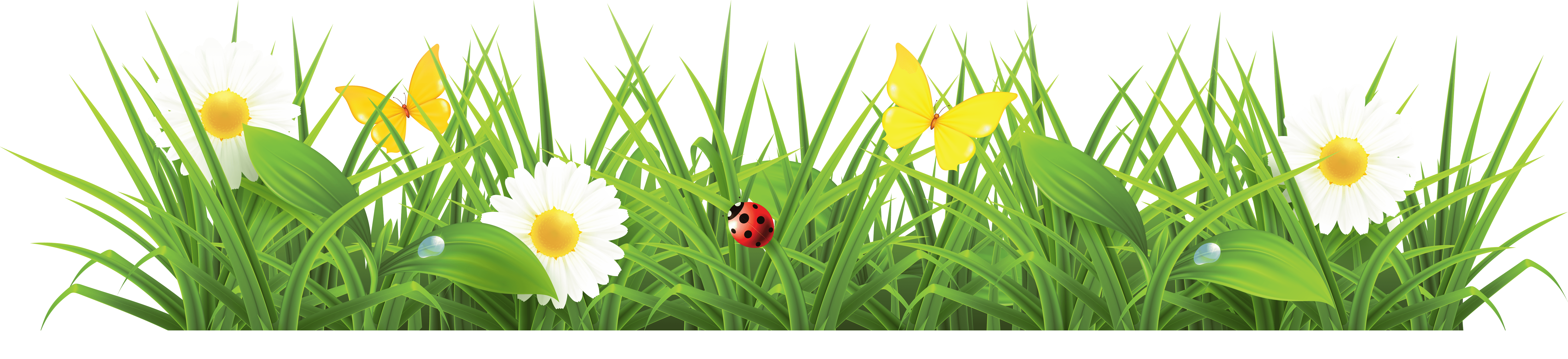 Cartoon Green Grass Png.