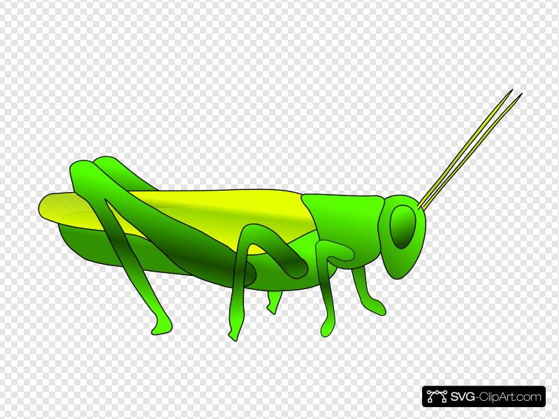 Cartoon Grasshopper Clip art, Icon and SVG.
