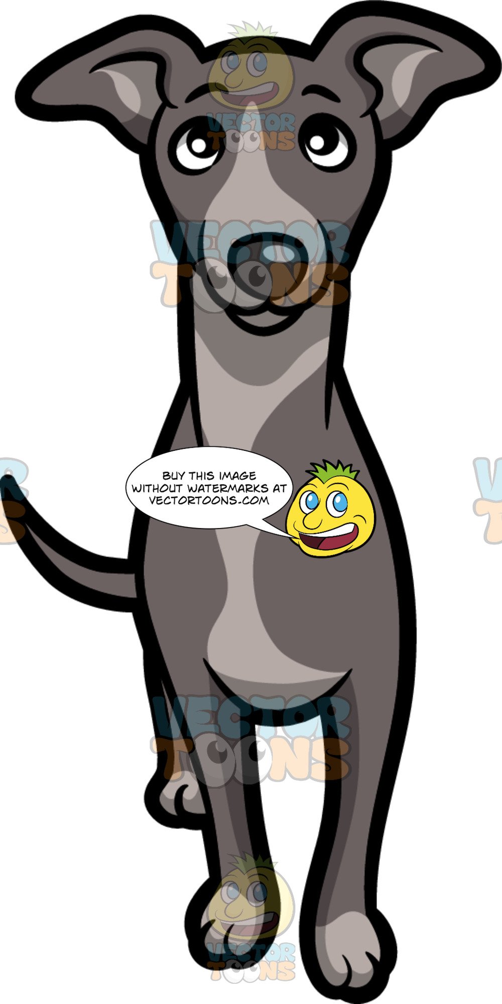 cartoon greyhound clipart 20 free Cliparts | Download images on