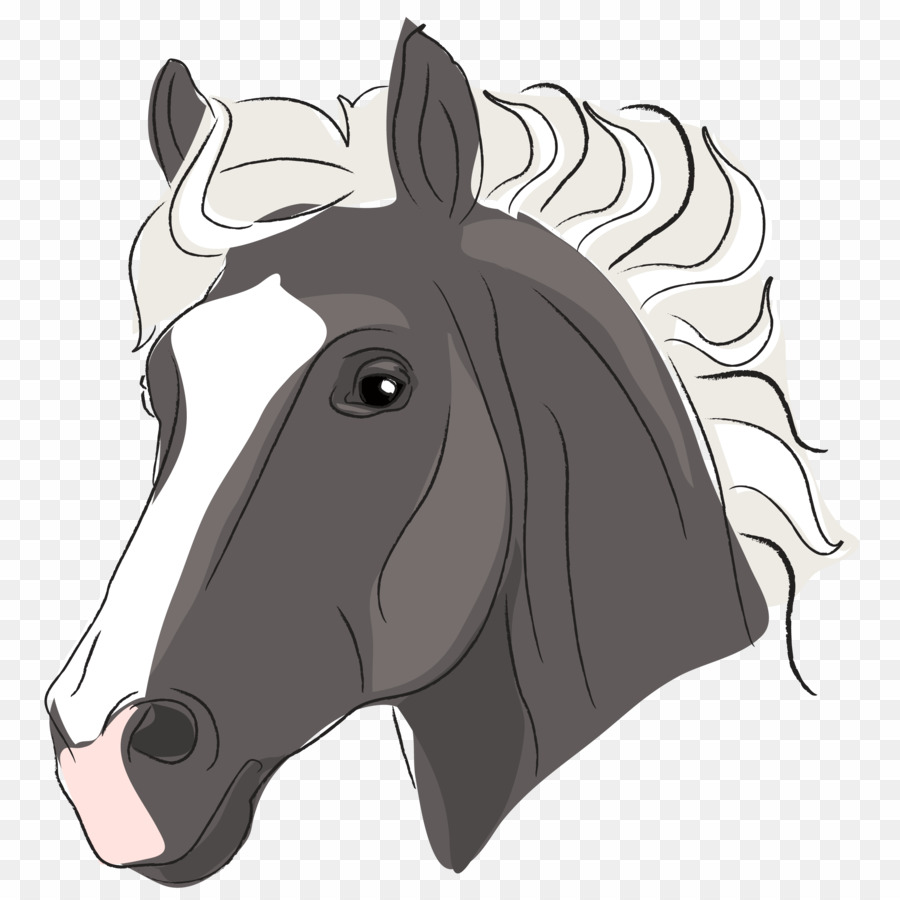 Cartoon Horse Head Clipart 20 Free Cliparts Download Images On