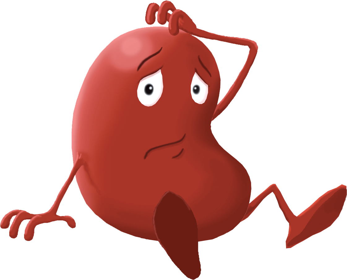 cartoon kidney clipart 10 free Cliparts | Download images on Clipground