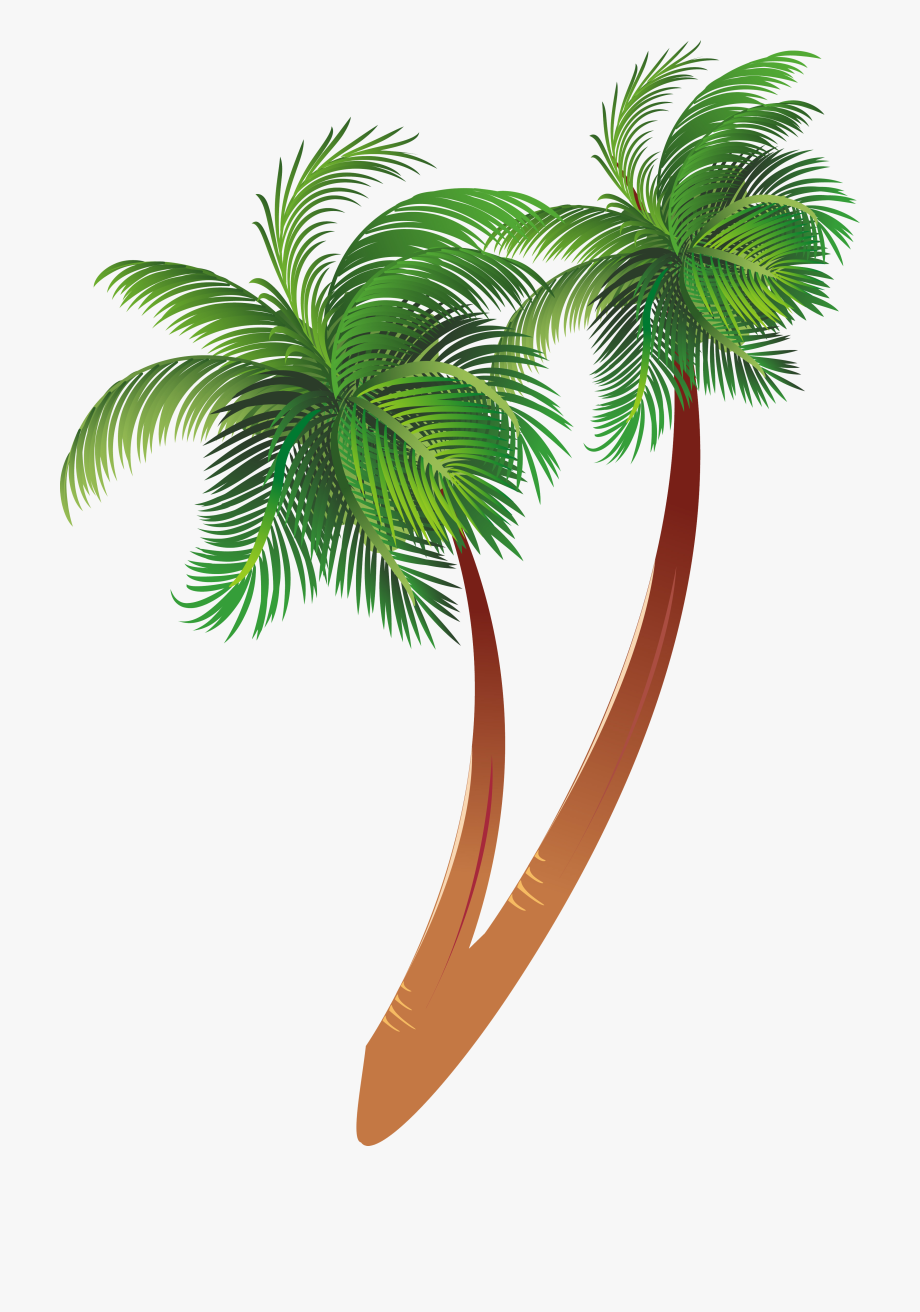 Free Download Cartoon Palm Tree Clipart Coconut Palm.