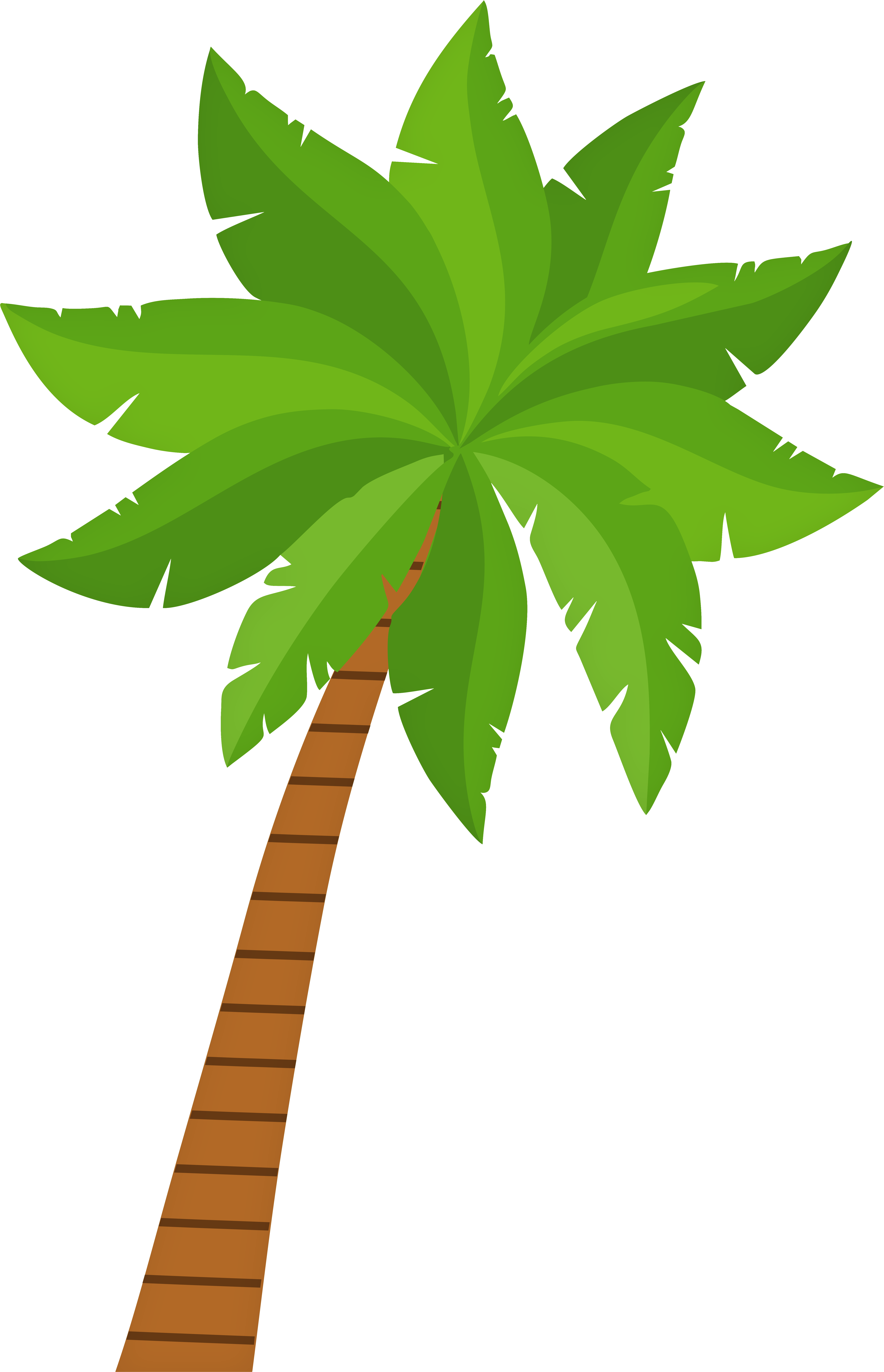 Palm Tree Png Clip Art.