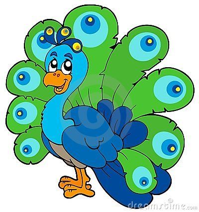 Cartoon peacock on white background.