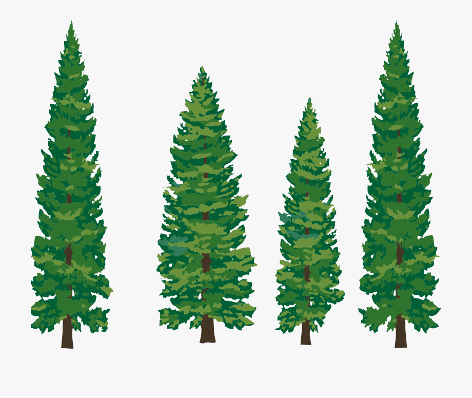 cartoon pine tree clip art 20 free Cliparts | Download images on