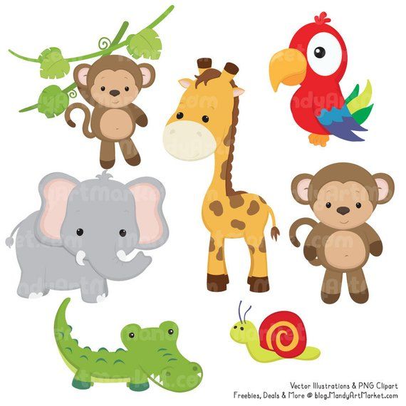 Cute Jungle Animal Clipart.