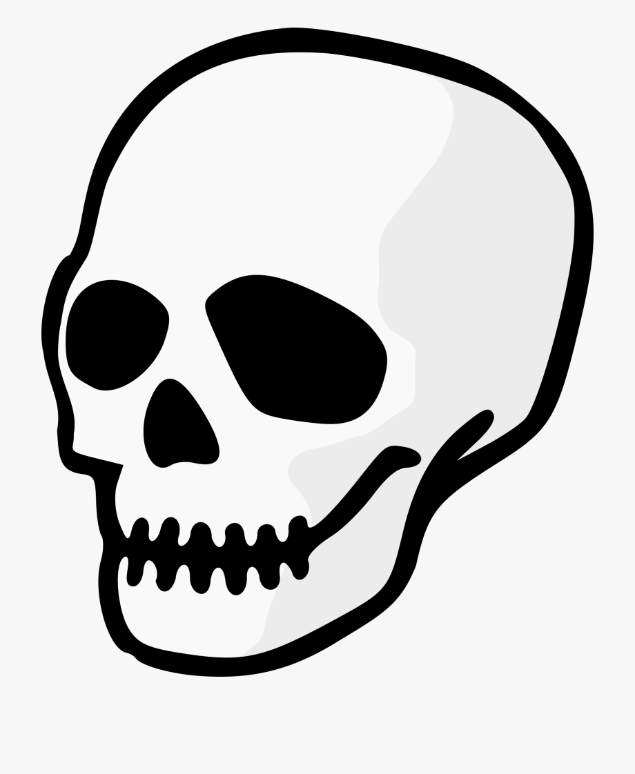 cartoon skeleton head clipart 10 free Cliparts Download images on
