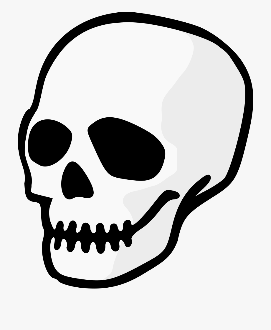 cartoon skeleton head clipart 10 free Cliparts | Download images on