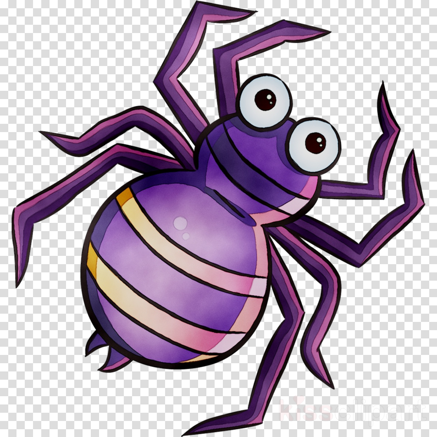 Cartoon Spider Clipart 10 Free Cliparts Download Images On Clipground