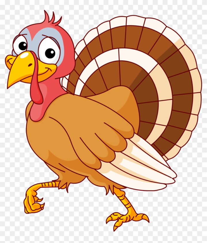 Cartoon Turkey Images Clip Art Turkey Clipart Free Image.