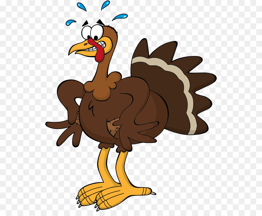 Thanksgiving Turkey Drawing clipart.
