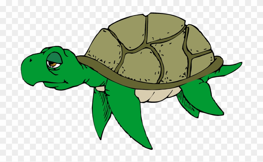 Cartoon Turtle Clipart Free Clip Art Image Image.