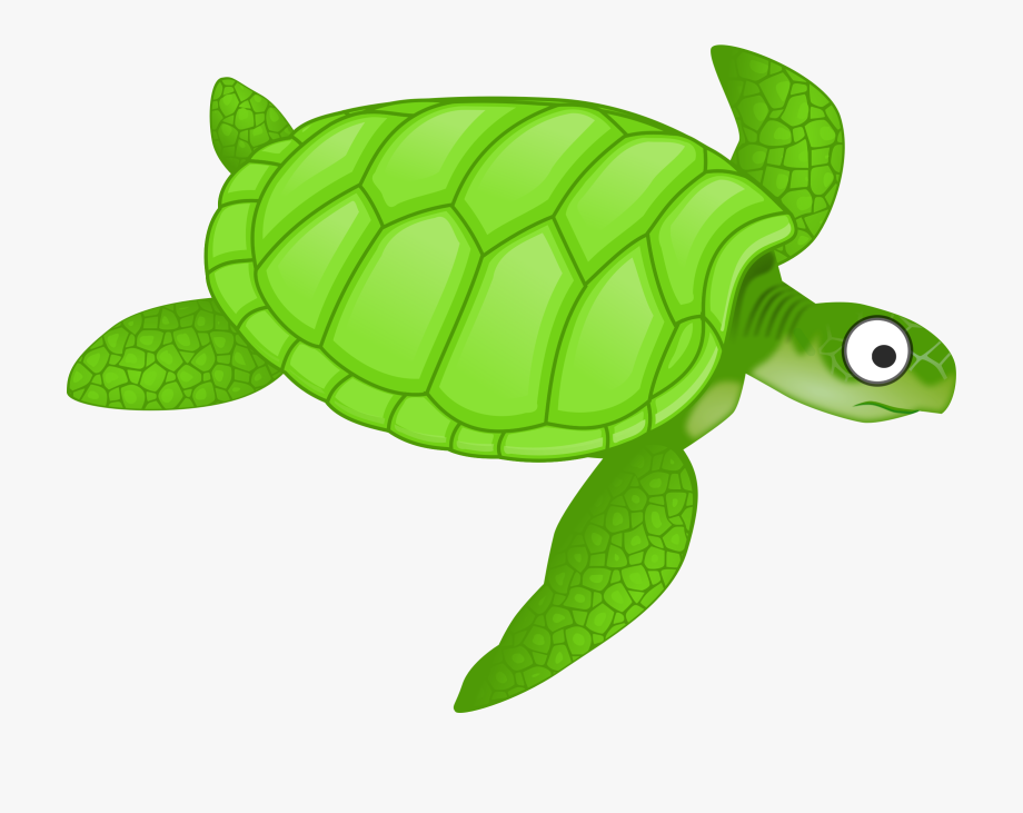 Clipart Cartoon Turtle 2 Png.