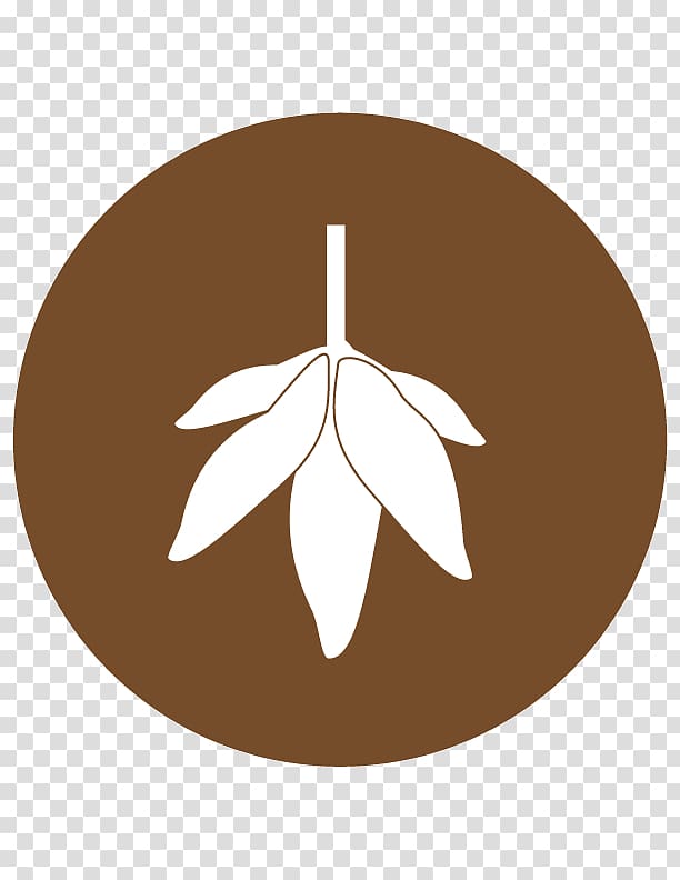White fruit illustration, Tapioca chip Modified Cassava.