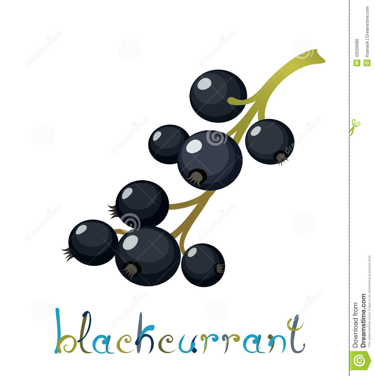 Black Currant Berry Stock Vector. Black Currant Berry Stock Vector.