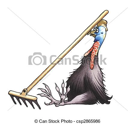 Cassowary Stock Illustrations. 51 Cassowary clip art images and.