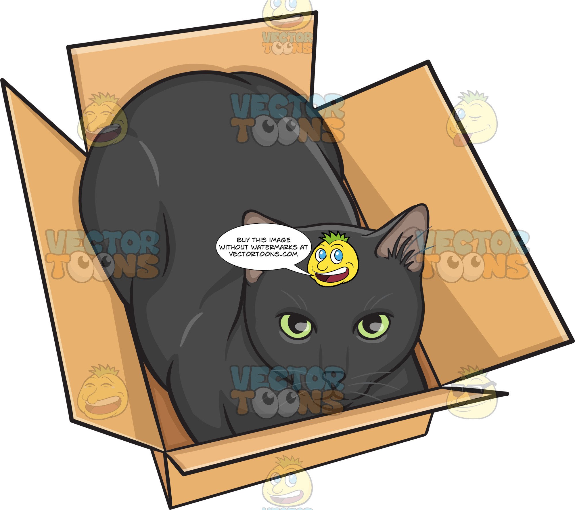 A Black Cat In A Box.