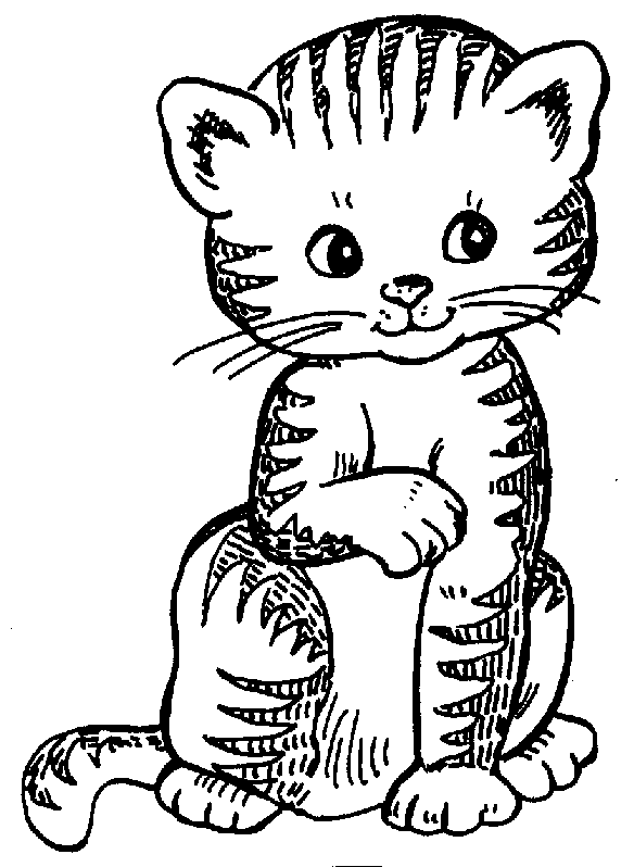 Free Kitten Clipart, Download Free Clip Art, Free Clip Art on.