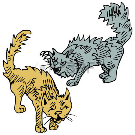 cat fight clipart 20 free Cliparts | Download images on Clipground 2021