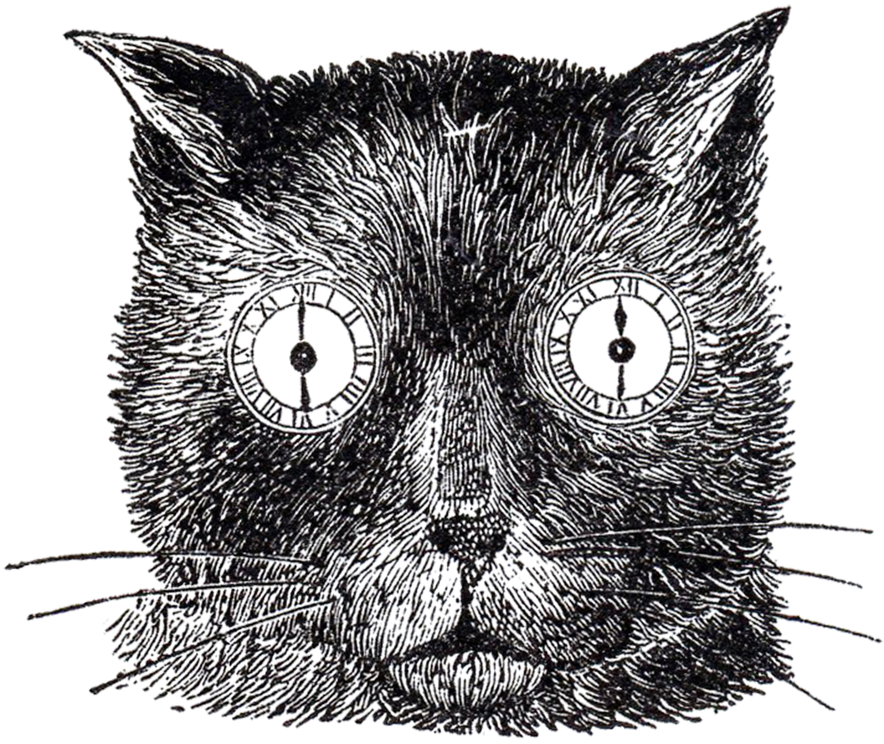 14 Black Cat Clipart.
