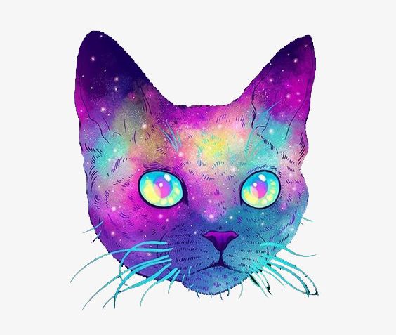 cat head png 20 free Cliparts | Download images on Clipground 2024