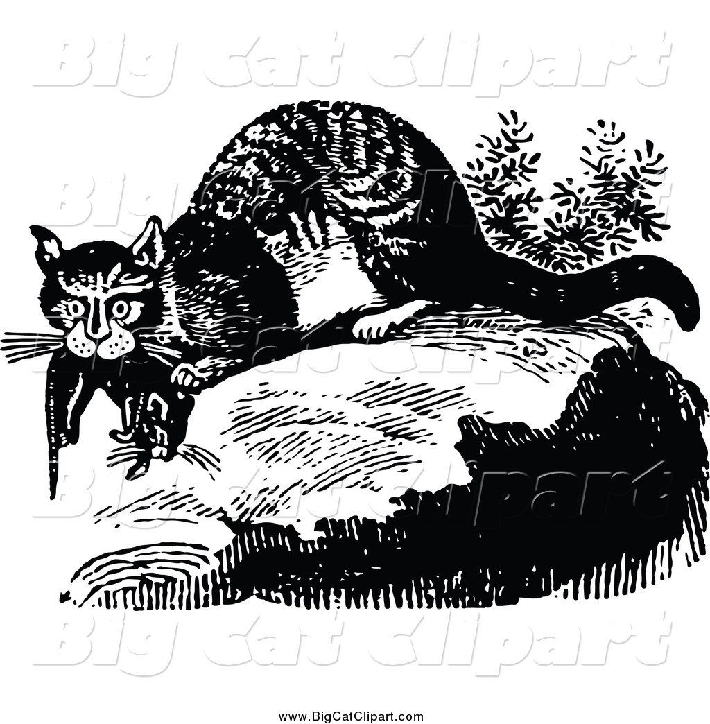 Big Cat Vector Clipart of a Black and White Wild Cat with Prey by.