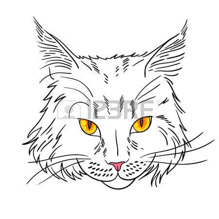 Cat Portrait Stock Illustrations, Cliparts And Royalty Free Cat.