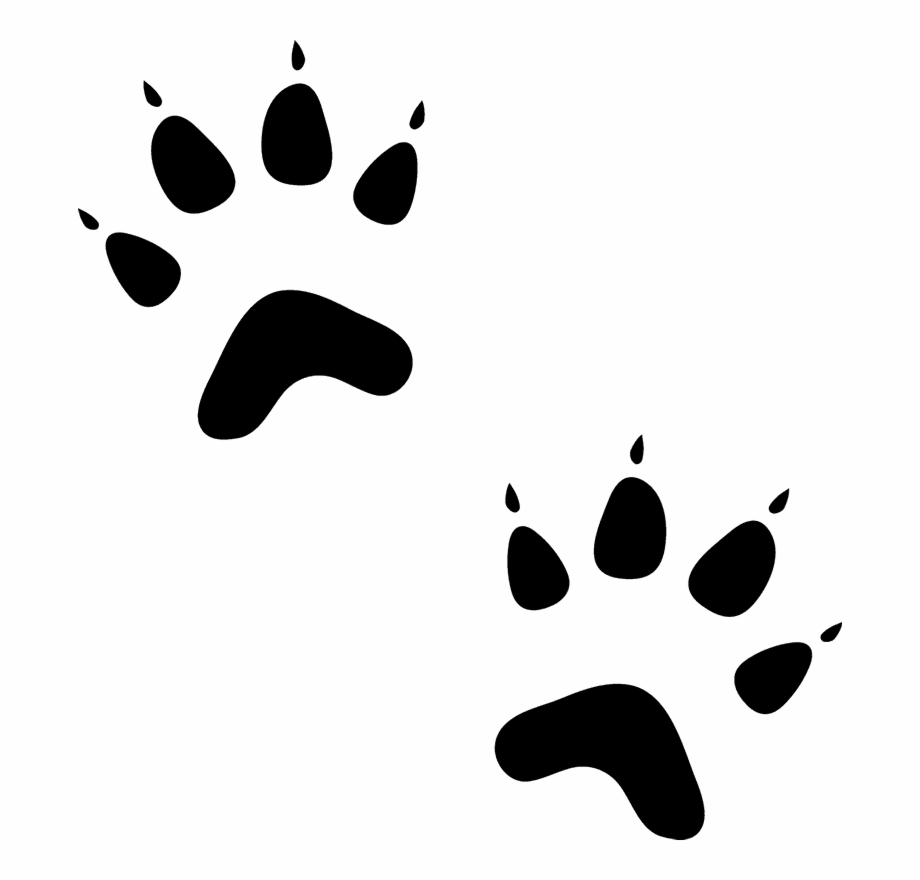 cat prints png 20 free Cliparts | Download images on Clipground 2023