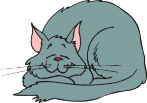 Sleeping Cat Clipart, Maine Coon Cat Sleeping Cartoon Clipart Vector ...