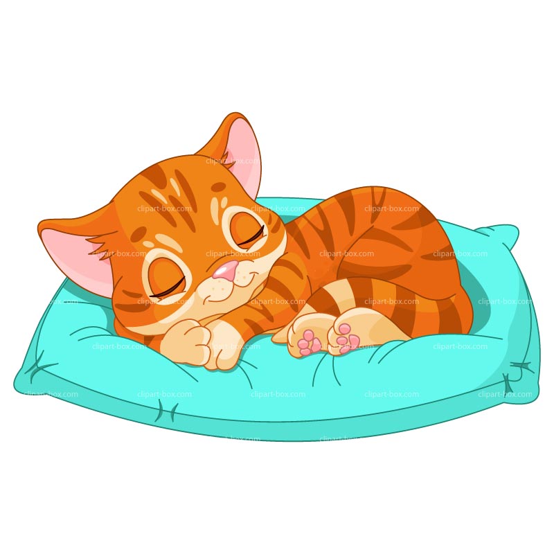 Cat sleeping clipart 20 free Cliparts | Download images on Clipground 2023
